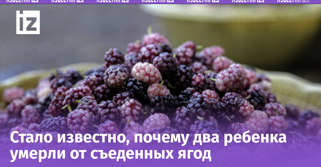 В России дети отравились ягодами с ветки: что известно о мучительной смерти двух малышей