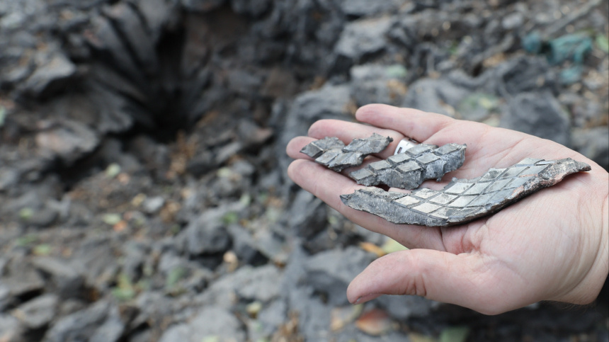    Фото: Ягодкин Дмитрий/ТАСС