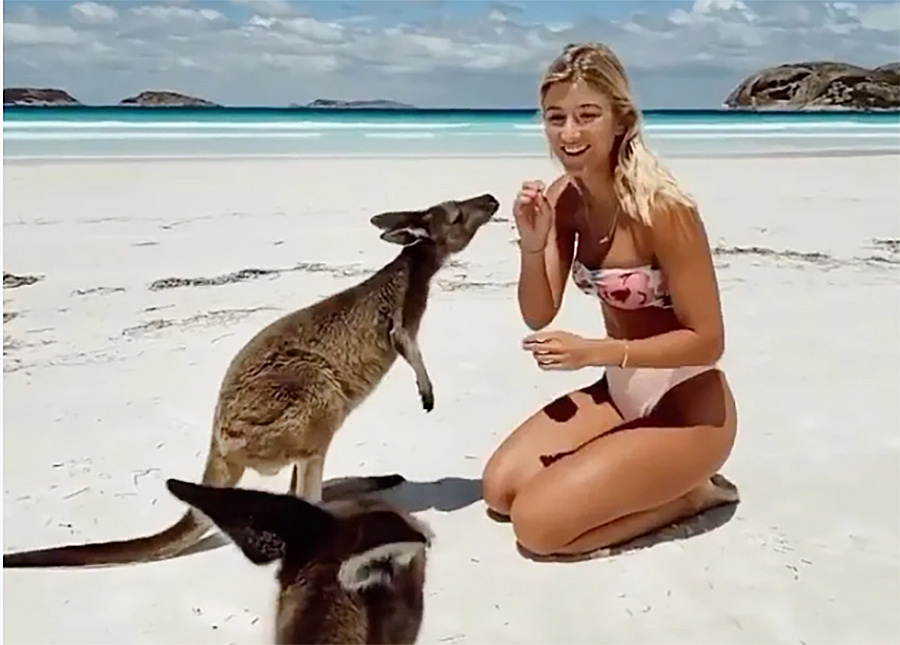 Девушка с кенгуру