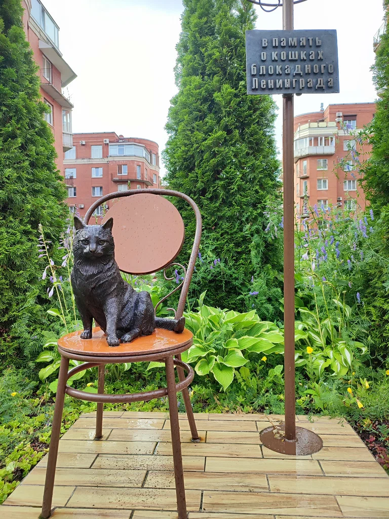 Фото из открытых источников  интернет