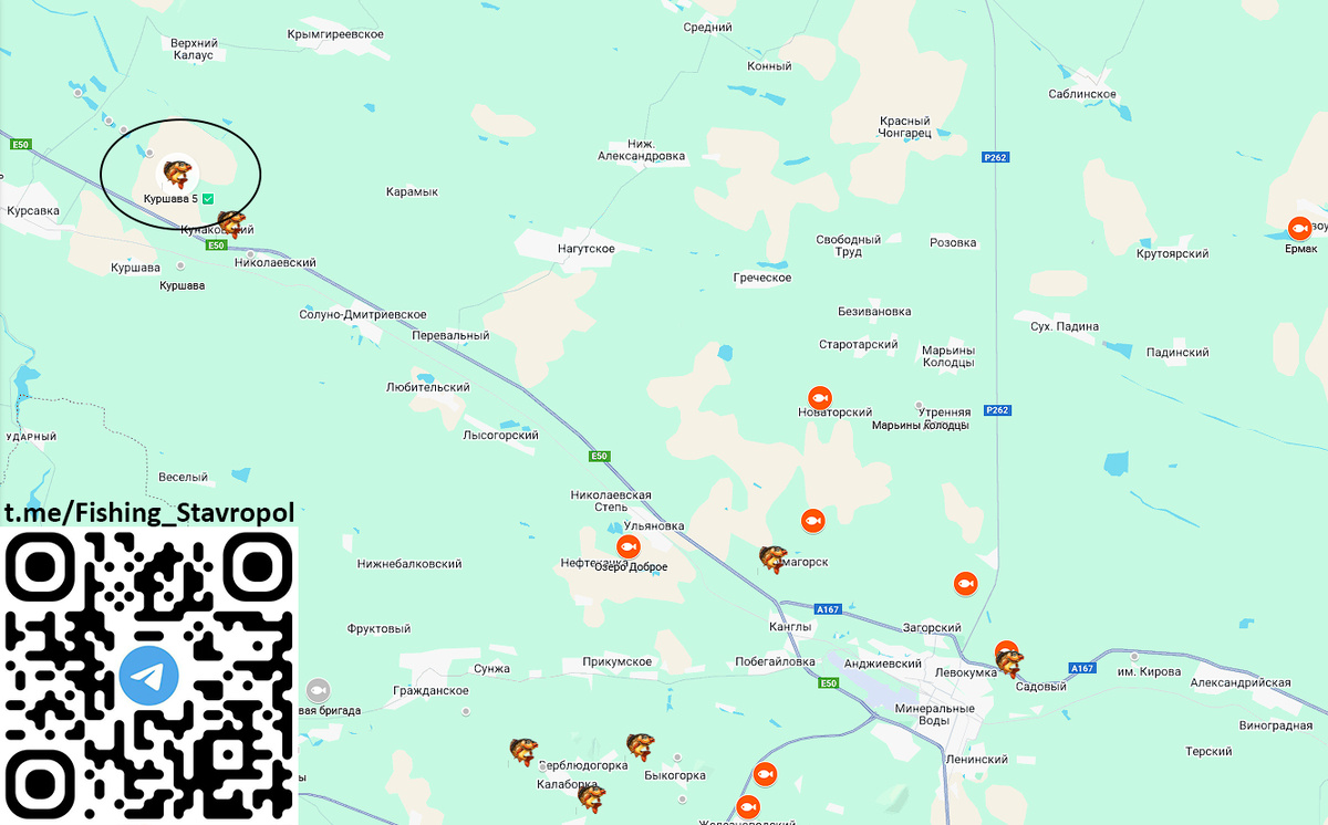 Платная рыбалка водоем "КУРШАВА, 5"