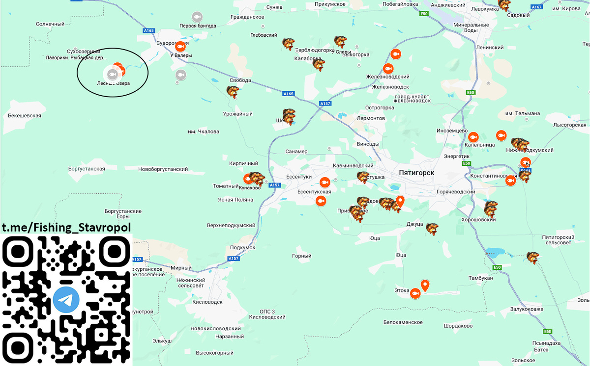 Платная рыбалка ЛЕСНЫЕ ОЗЕРА