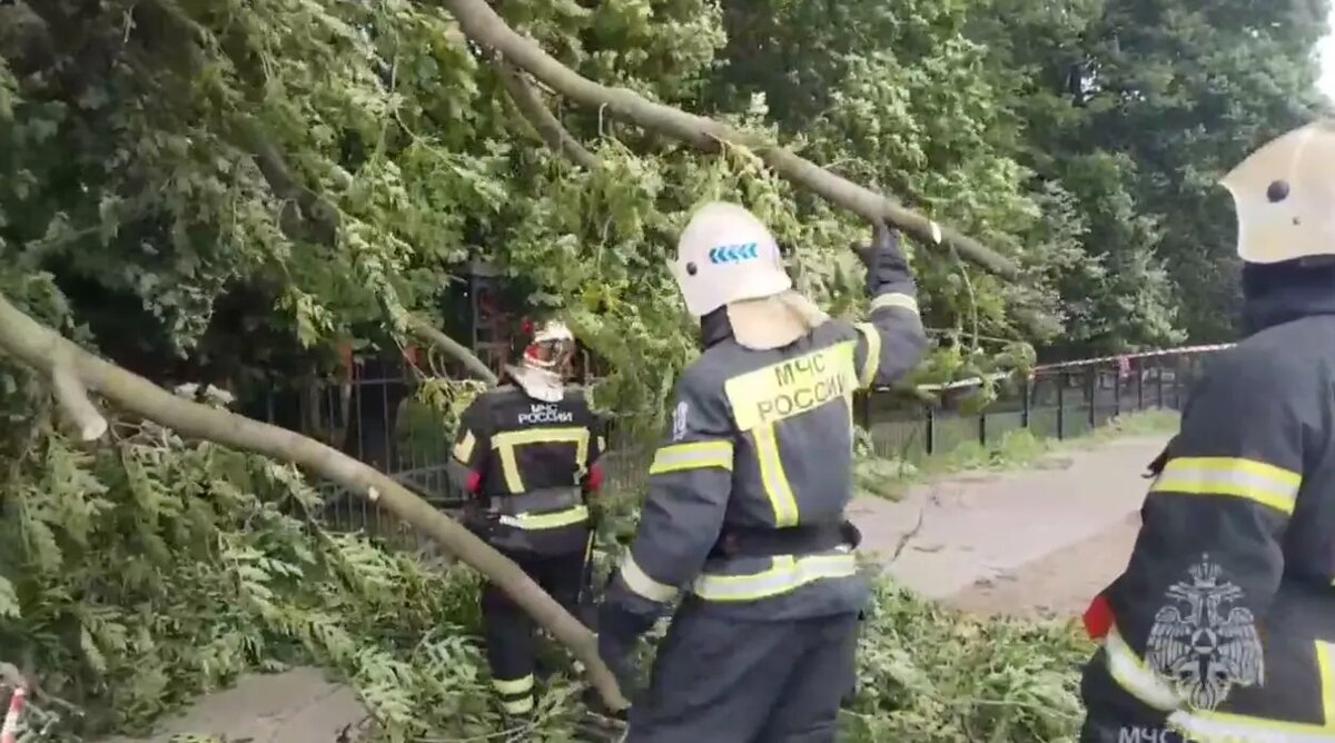    Фото: скриншот из видео пресс-службы ГУ МЧС России по Петербургу.