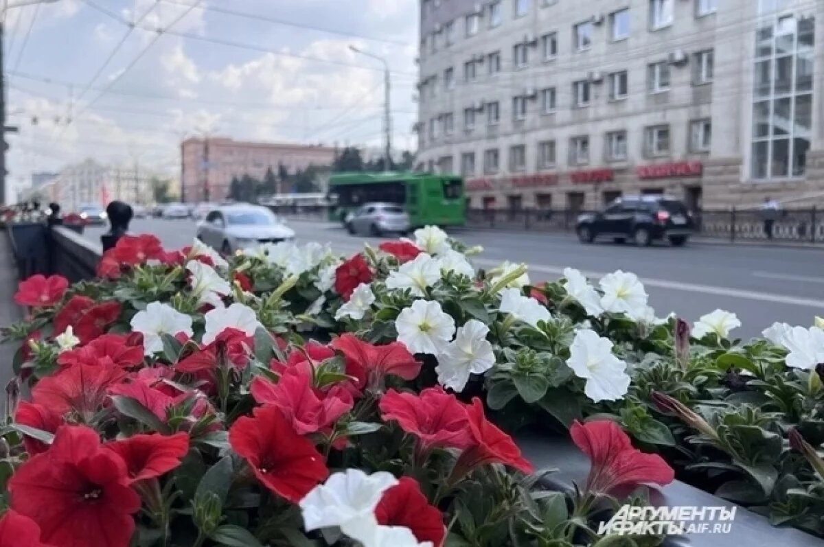    Кашпо с разноцветными петуниями радуют взгляд челябинцев.