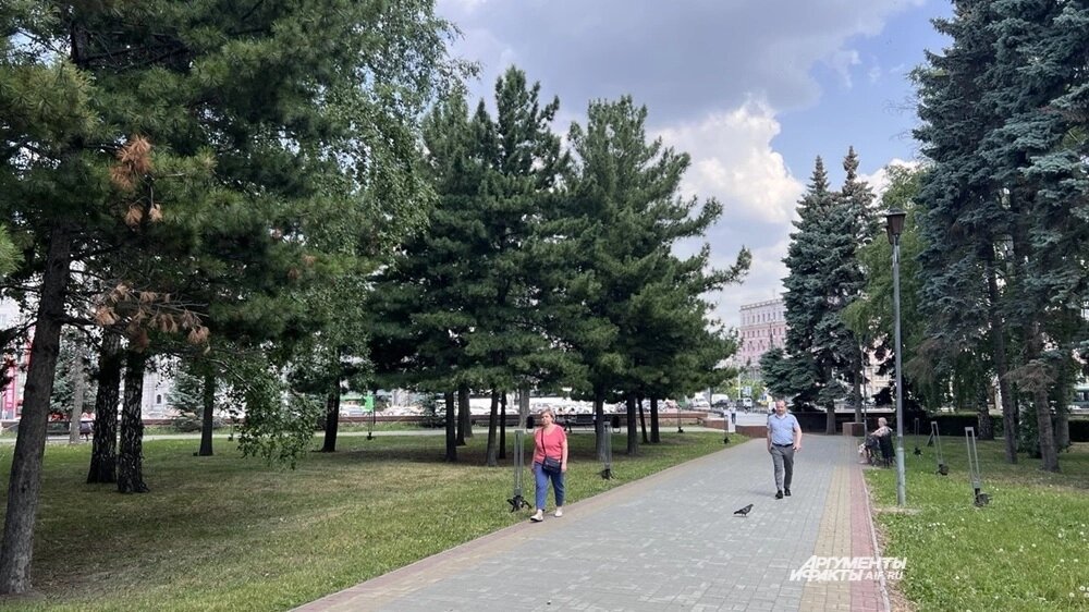    В задачи учреждения входит уход за зелеными насаждениями в подведомственных скверах. Фото: АиФ-Челябинск