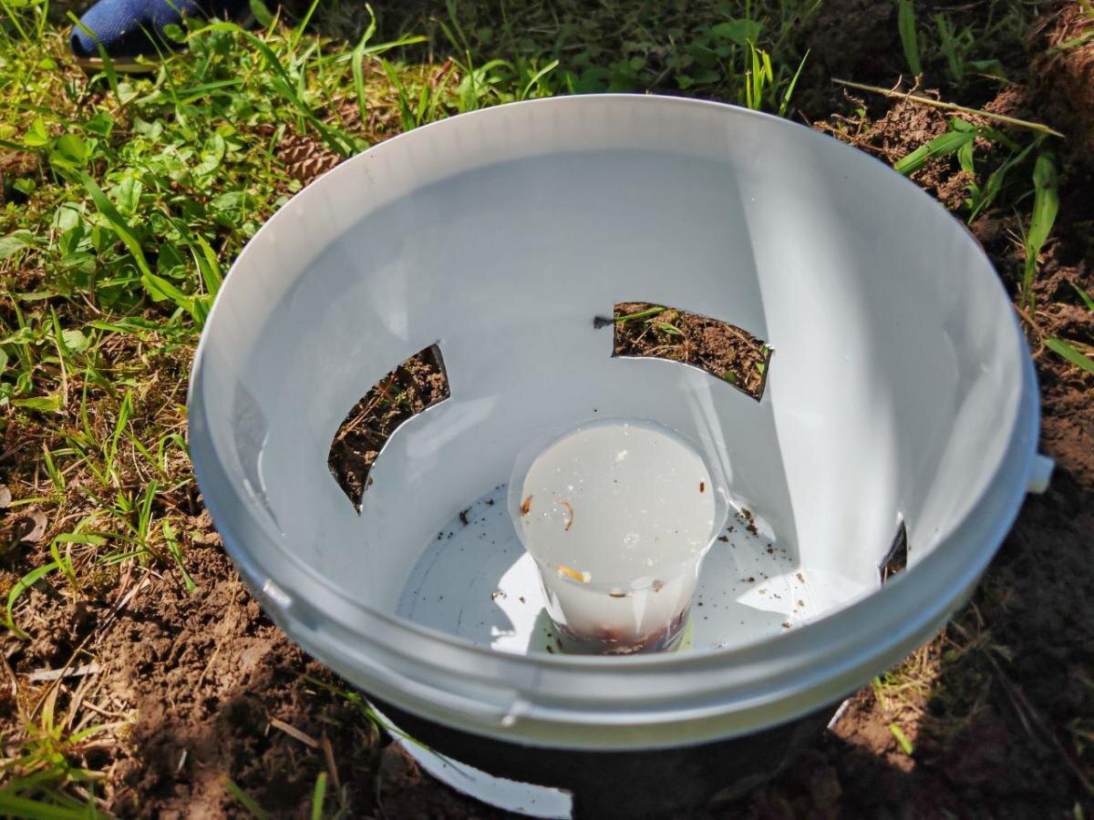    Фото: пресс-служба Сочинского нацпарка