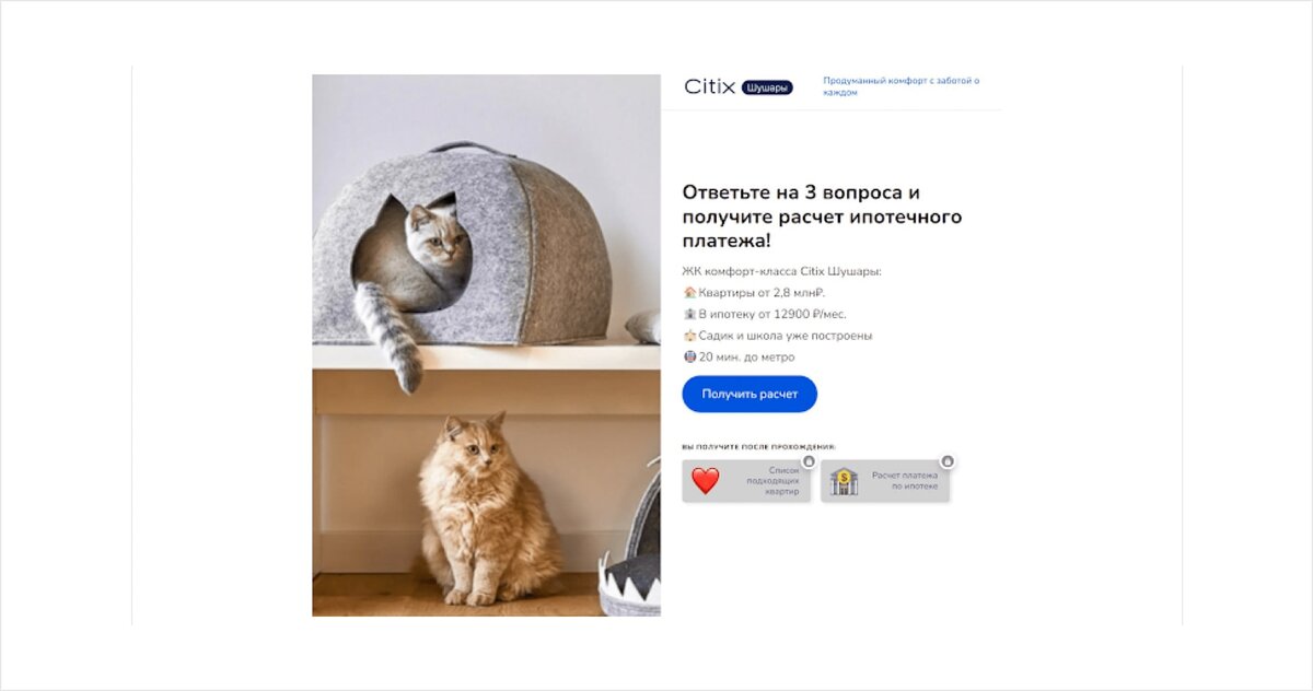 Квизы с котиками из того самого кейса.