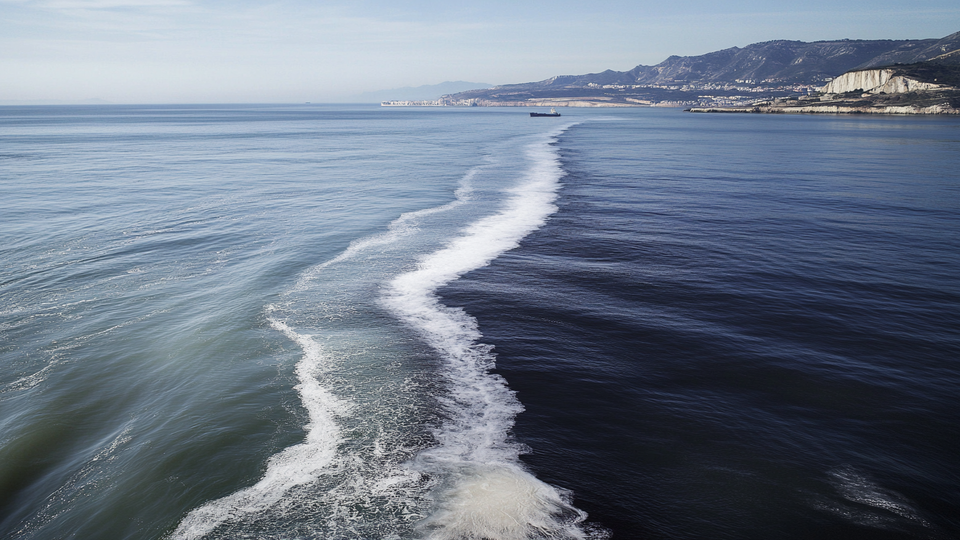 Фото: © РЕН ТВ