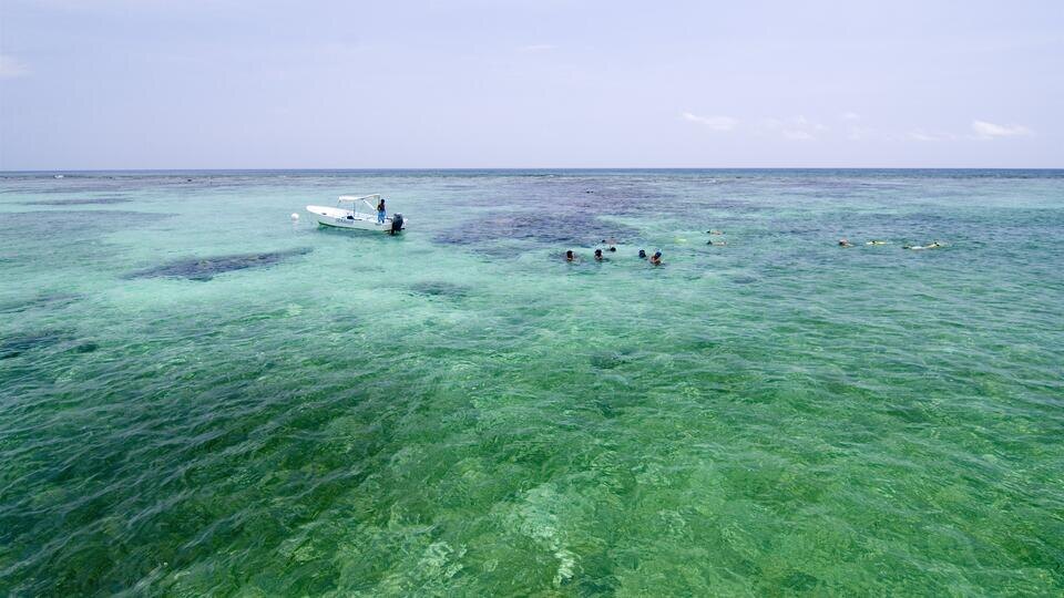 Фото: © www.globallookpress.com/Jake Warga/Jake Warga/DanitaDelimont.com