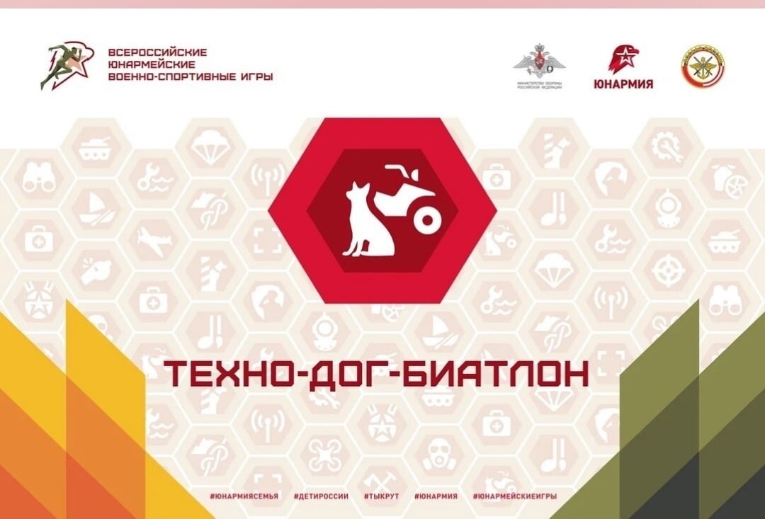 В рамках Всероссийских Юнармейских Военно Спортивных Игр . Организаторы Министерство обороны, ООГО "ДОСААФ России", ВВПОД "Юнармия". Проводит Центральный Клуб АВПК ООГО "ДОСААФ России" с 2017г.