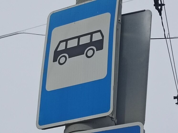     в Невском и Василеостровском районах Петербурга начнут работу два новых автобусных маршрута. Фото: архив «МК в Питере»