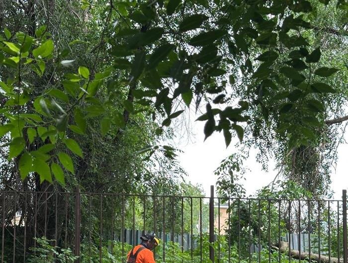    ФОТО: предоставлено автором