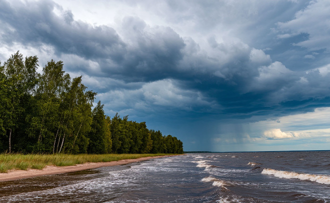    © изображение сгенерировано нейросетью «Шедеврум»