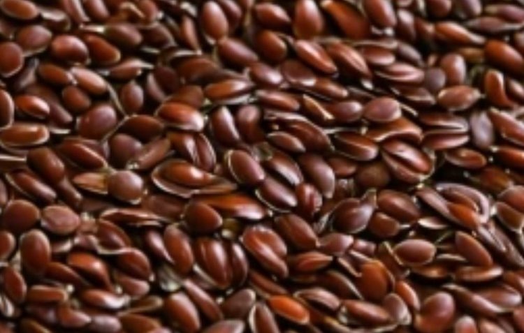    Фото: Медведева Анна, AgroXXI.ru