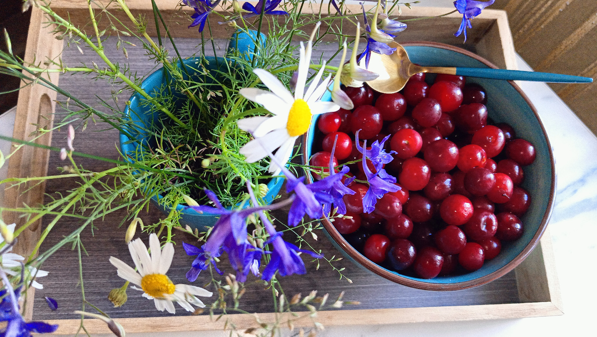 Цвет настроения - синий. Фото автора 