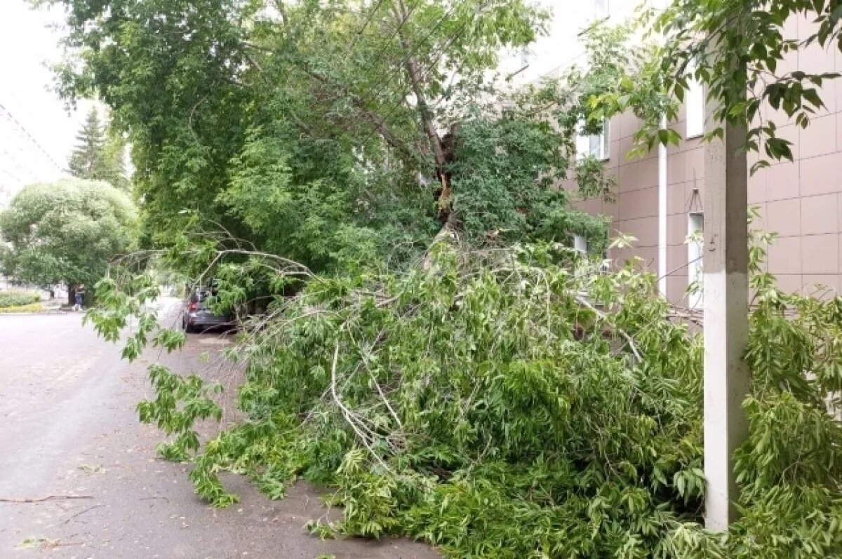    В Омске ураган повредил газовую трубу в Амурском посёлке