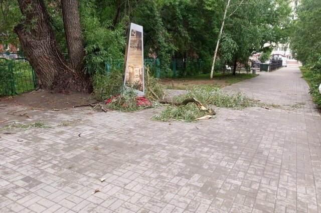    Оборвавшиеся ветки лежат практически везде. Фото: omsk.aif.ru// Ксения Ермакова