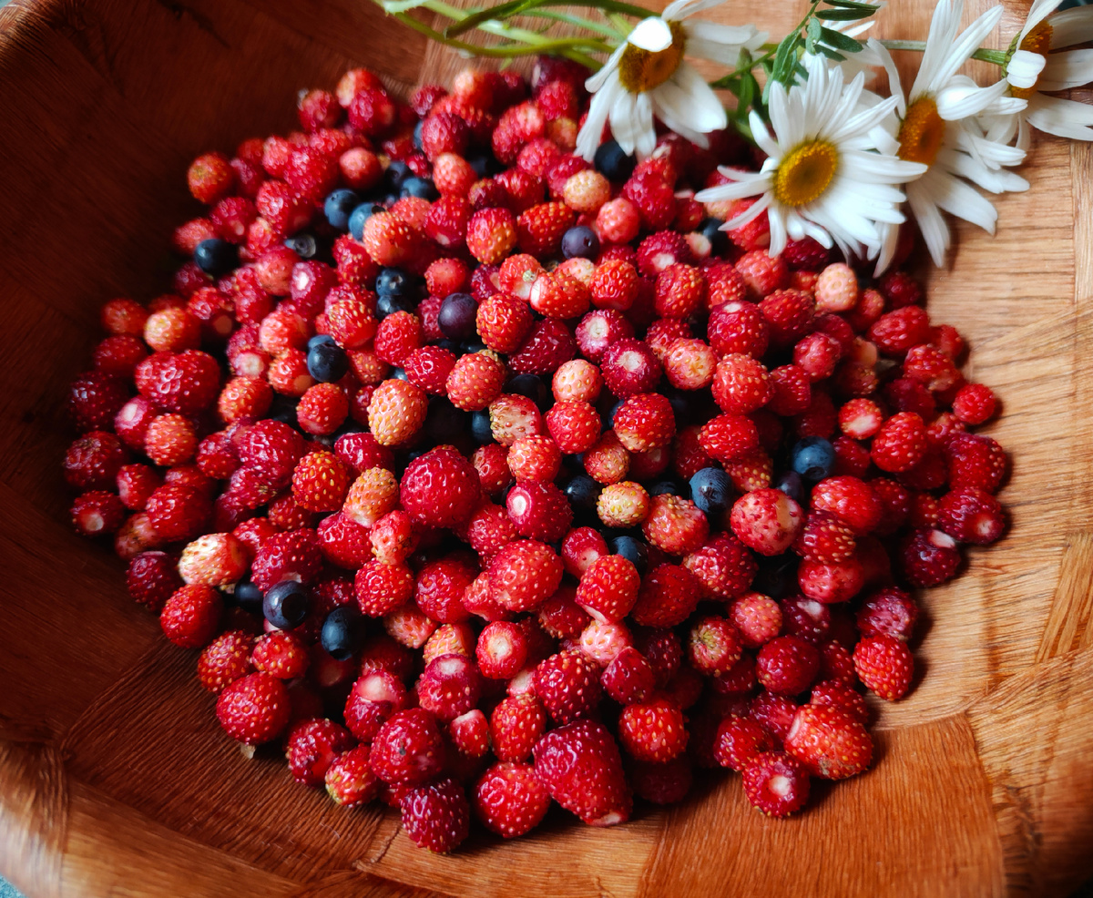 Всего 1 кг 230 г (на фото не всё).