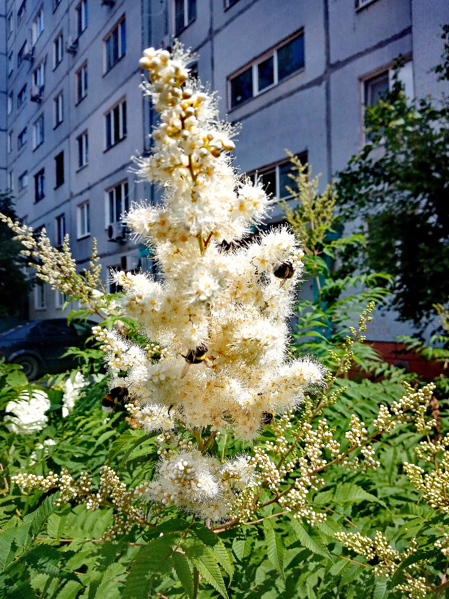 Фото автора.