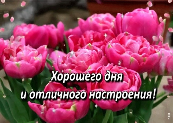 Из интернета для хорошего настроения 🫶🏻