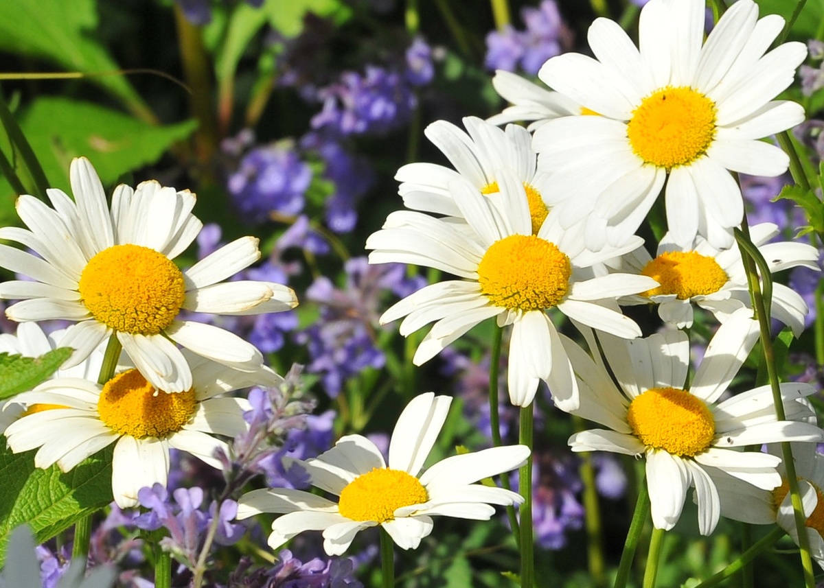 Фото из архива КП