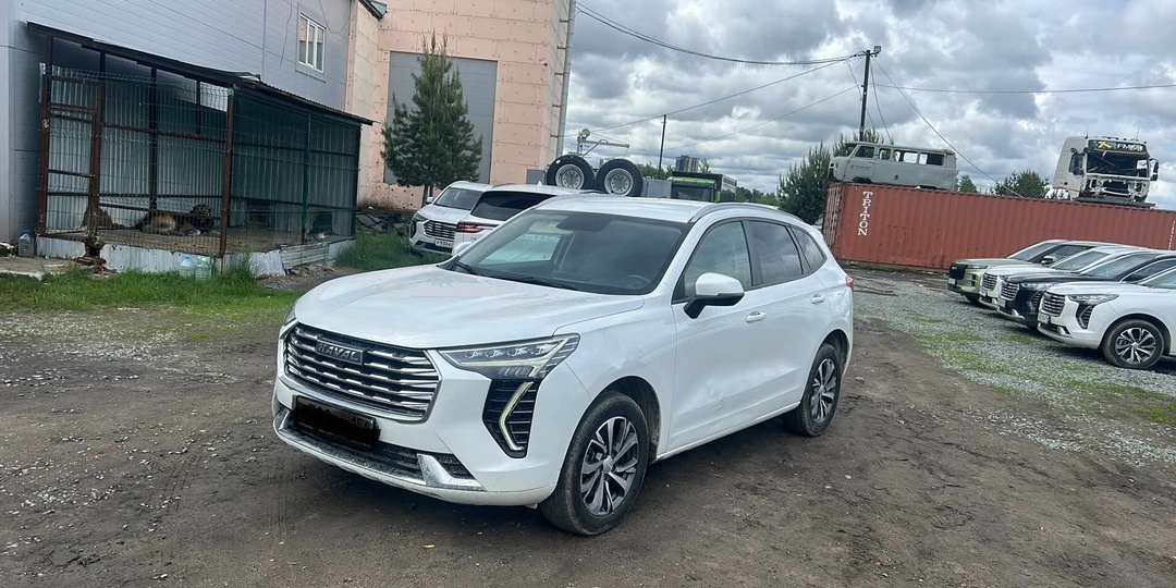 Чем модели Haval так привлекают россиян на вторичном рынке: привожу несколько аргументов