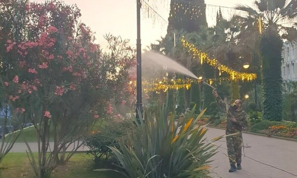    Фото t.me/officialsochi