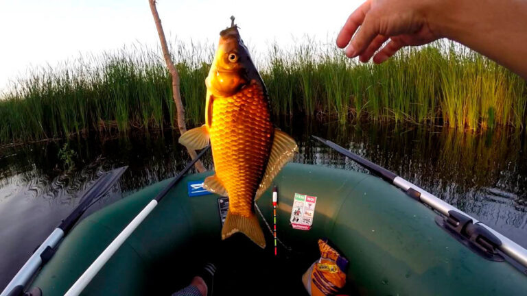 Какая удочка нужна для ловли карася летом