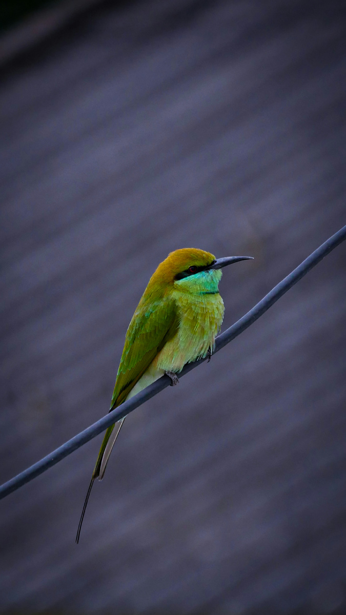 "Счастье — птица иного полёта,
На атмосферу выше, за гладью голубой.
Точно так же вздыхает кто-то
Ровно на атмосферу ниже, прямо под тобой."(с) 
Фото: Unsplash
