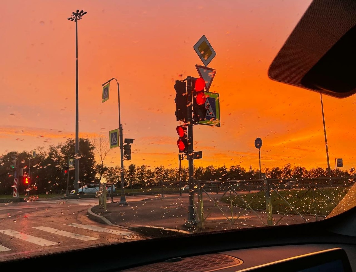 Фото: Neva.Today