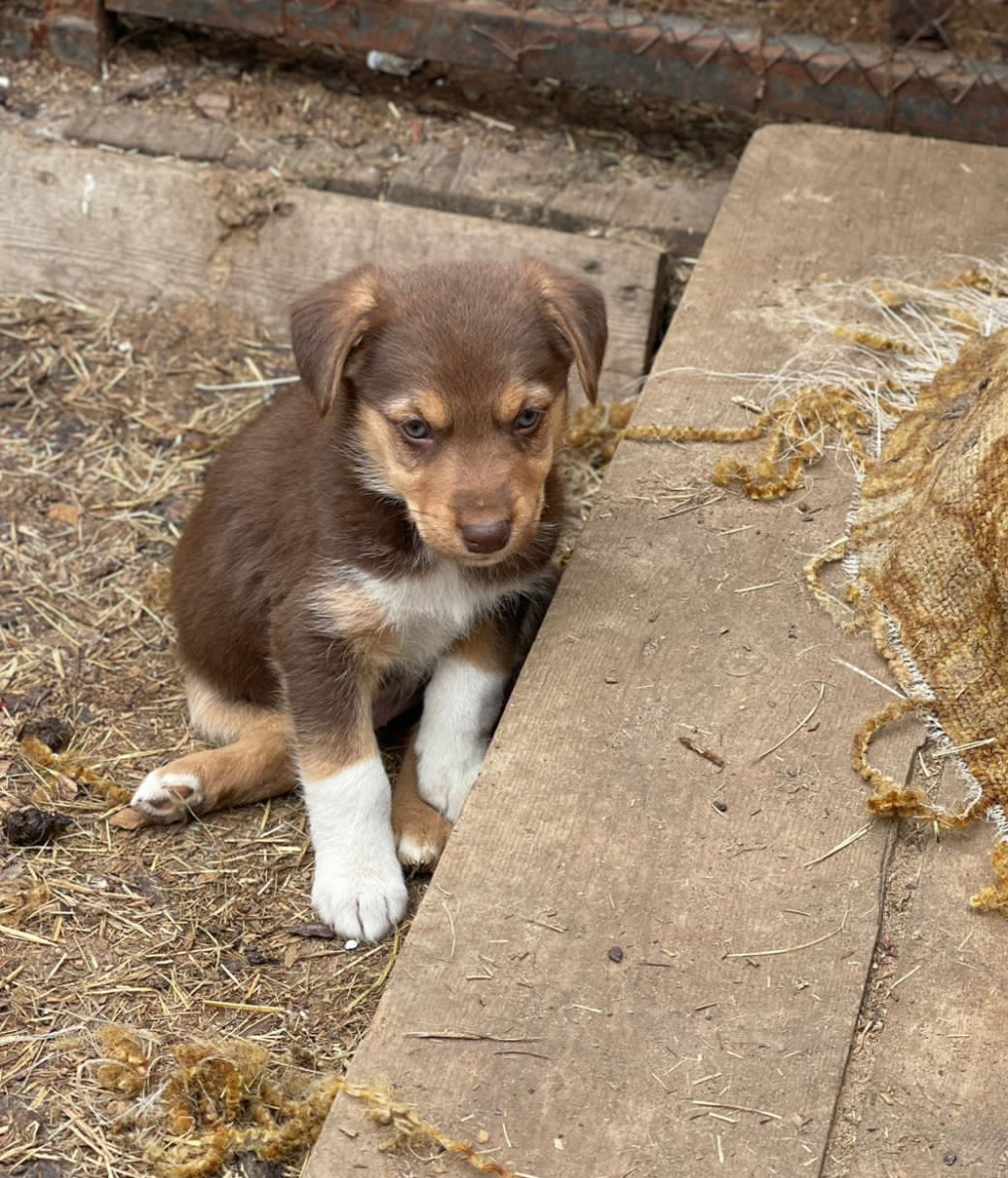 Буду помнить тебя малыш 😭😭😭