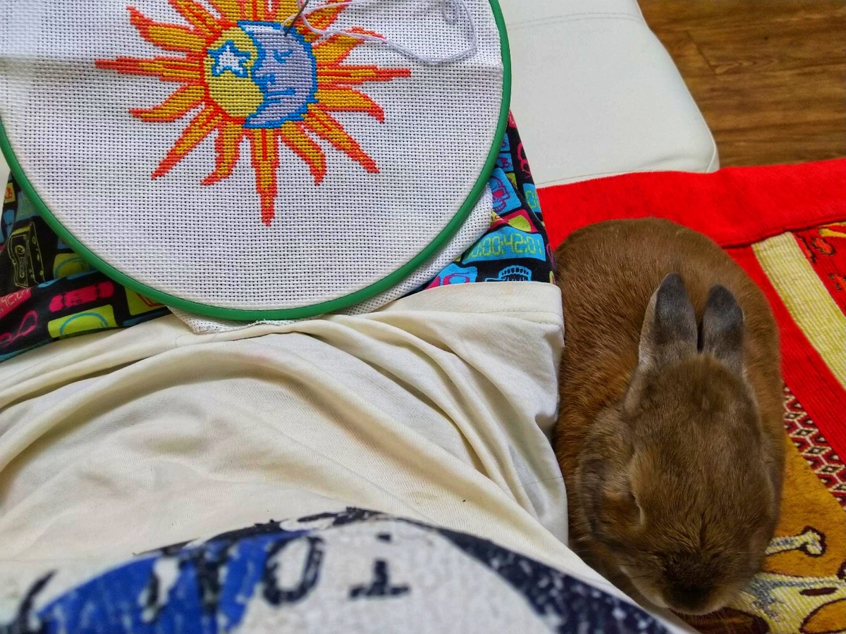 Очень памятное и дорогое моему сердцу фото Ирискина...