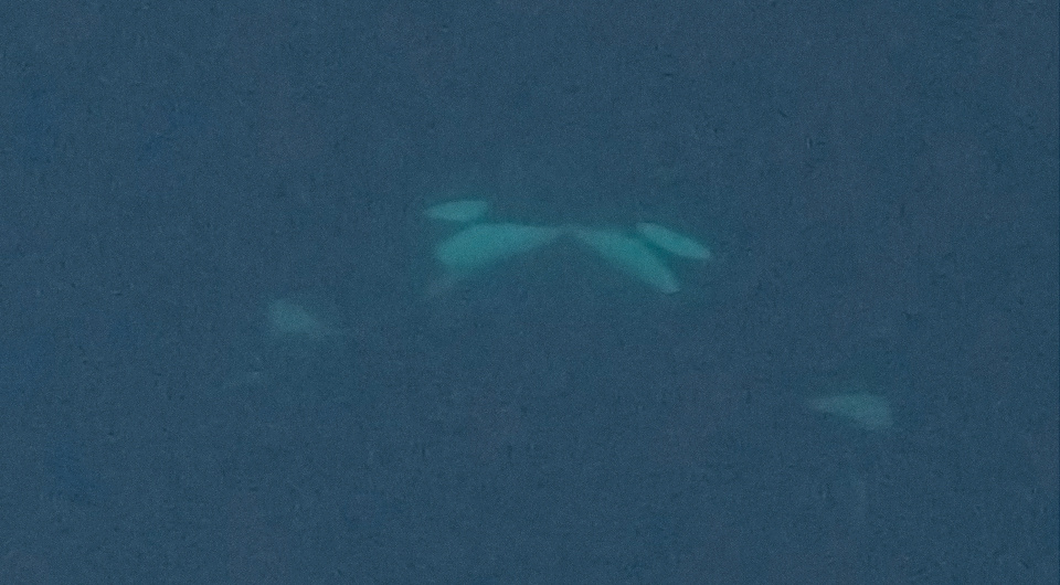   Javier Almunia et al. / Oceans, 2025