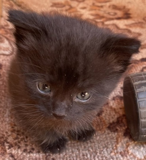 Фото автора 