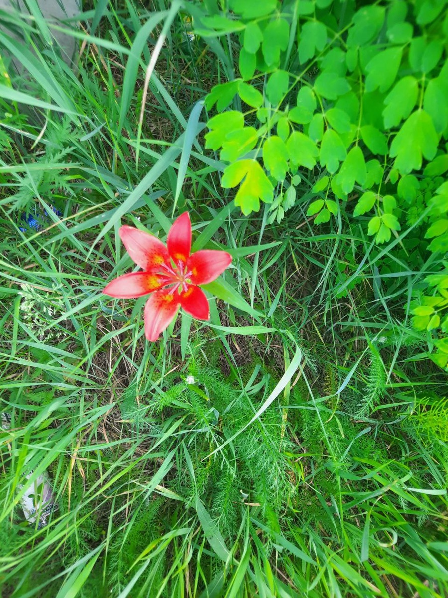 Фото автора. 