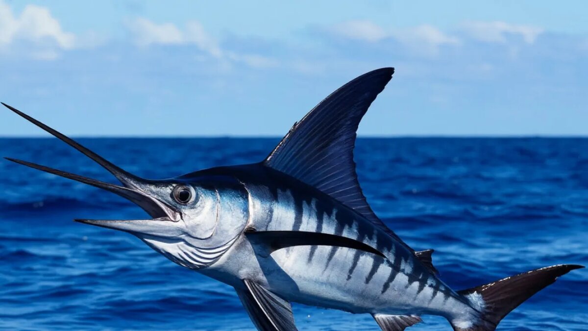    Сгенерировано ИИ