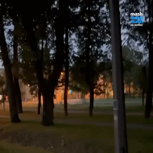 Кадры с Telegram-канала Mash на Мойке