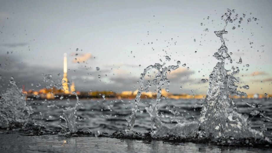    Фото: Dmitry Mikheev/Shutterstock/Fotodom