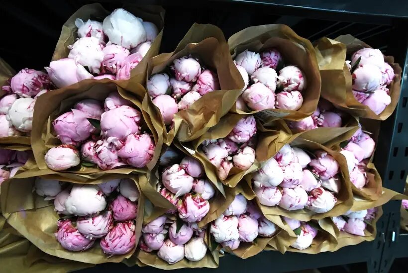     © РИА Новости. Виталий Аньков