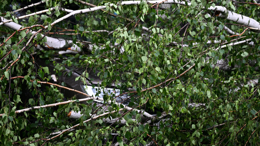    Фото: © РИА Новости/Павел Бедняков; 5-tv.ru