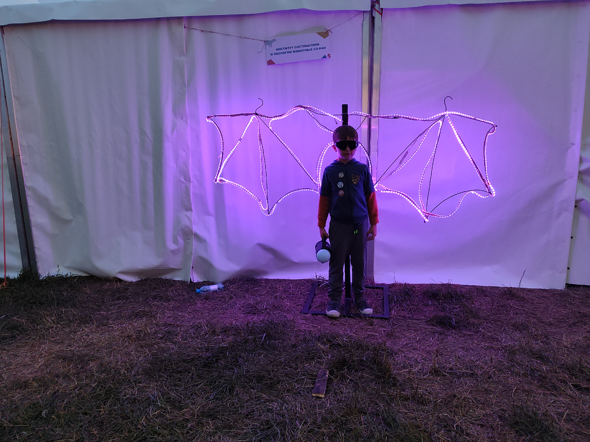 Серьёзный Вадюха