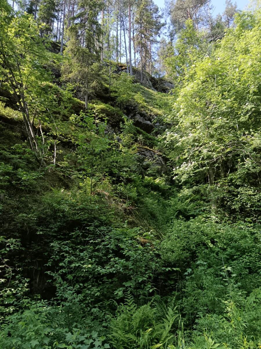 Ялгора.Фото из личного архива