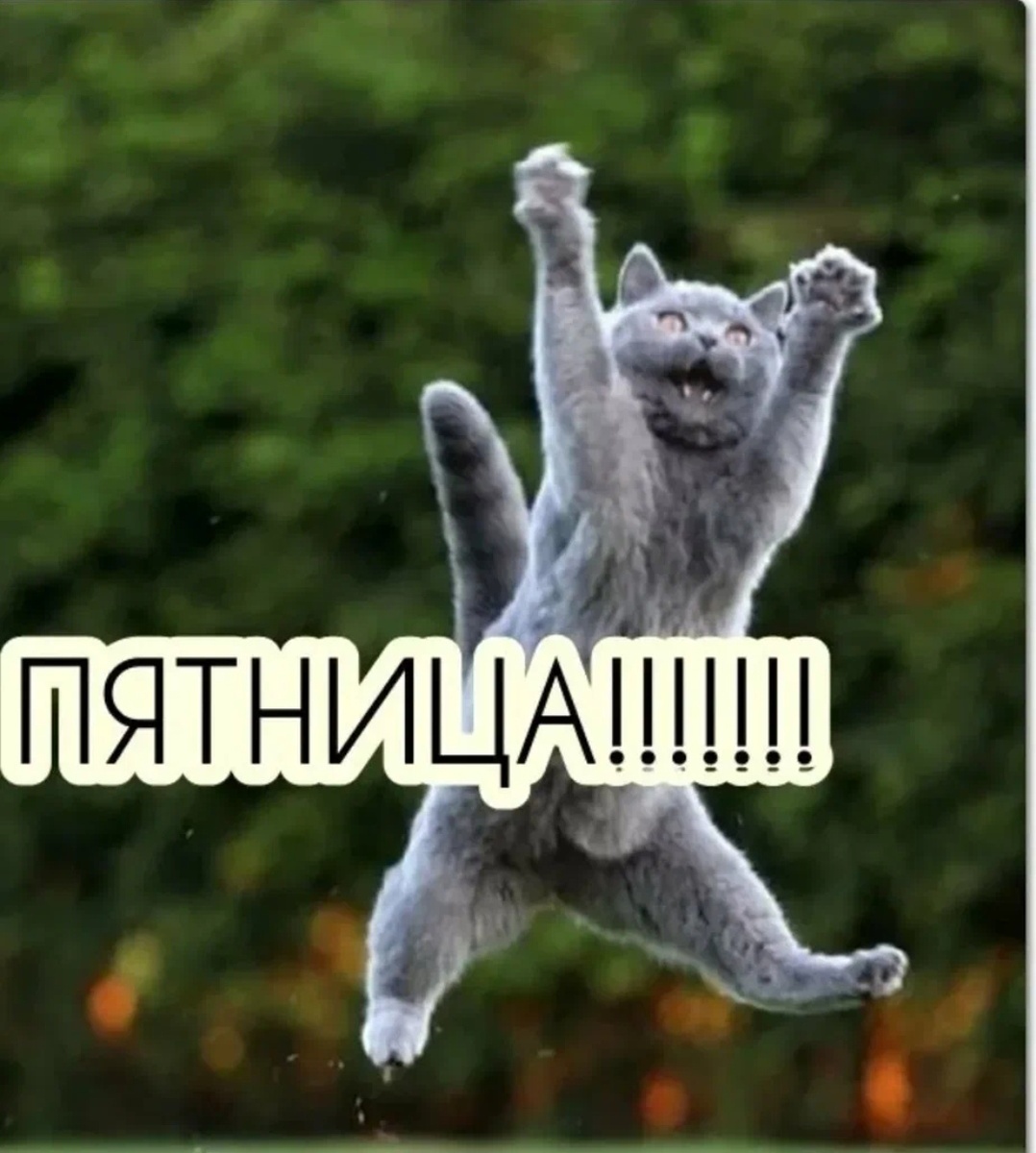 Фото из интернета