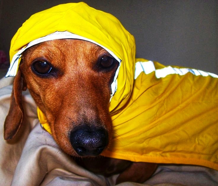 Одетая, но не сломленная