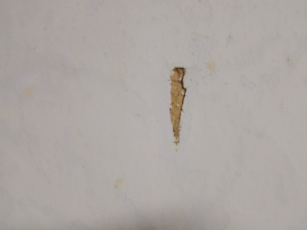 Новая стена