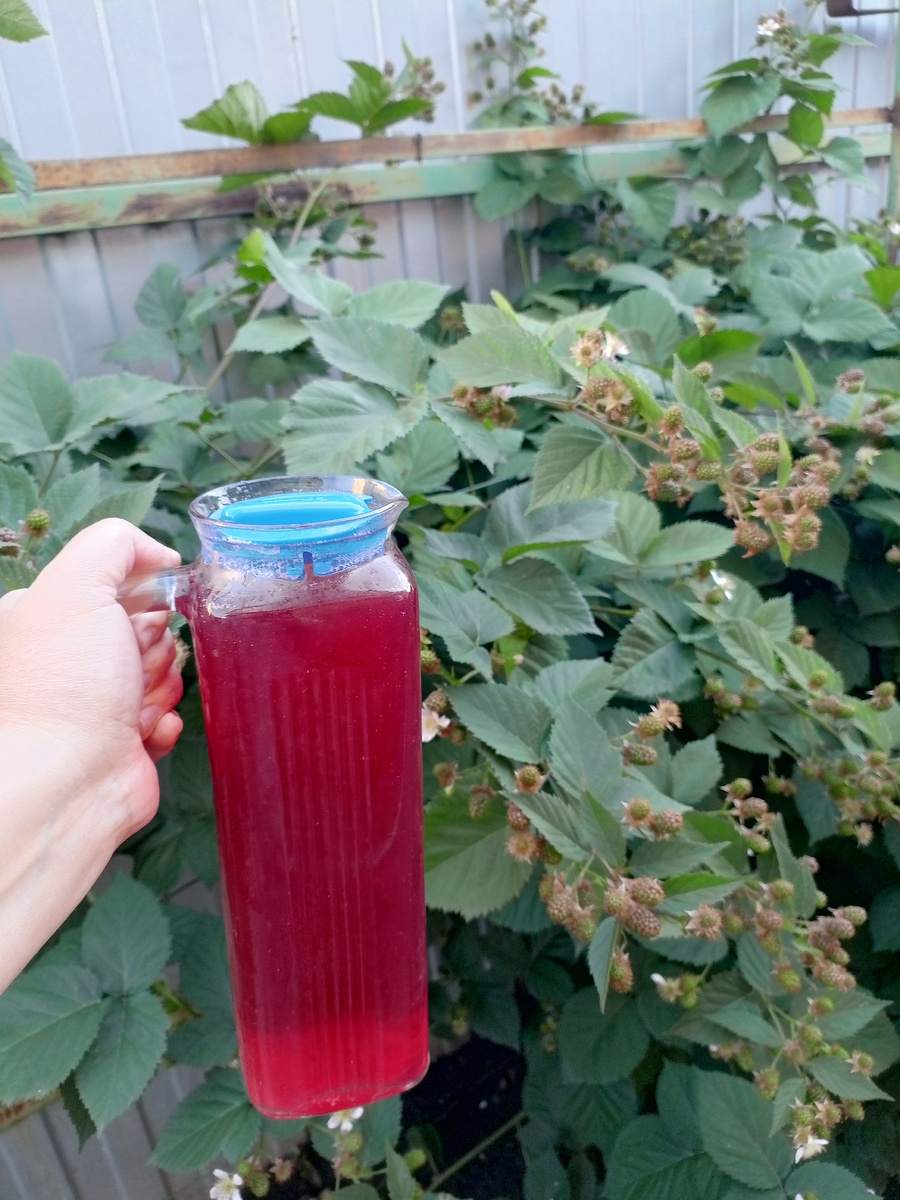 Фото сделано автором канала