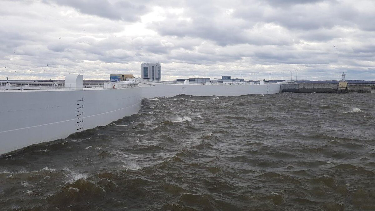 Фото: vk.com/damba_spb