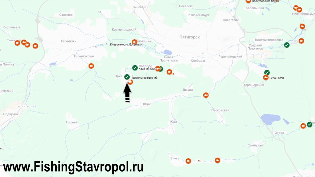 Платная рыбалка водоем "Привольное Нижний"