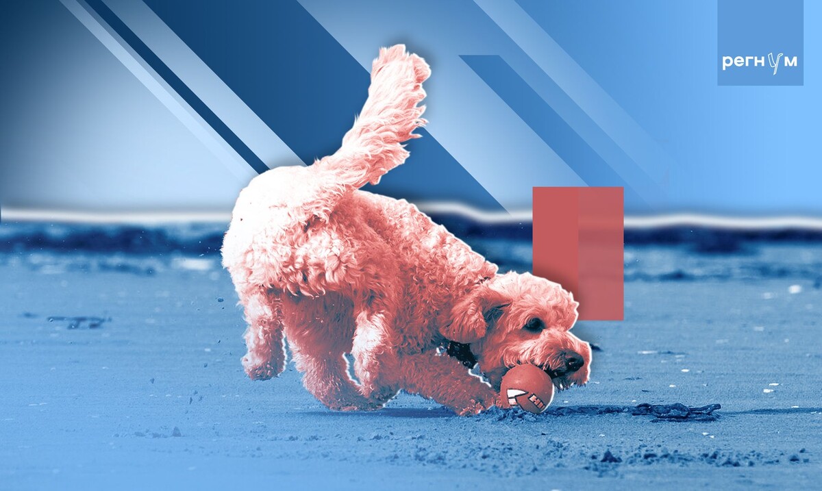     / Источник: Иван Шилов (с) ИА Регнум