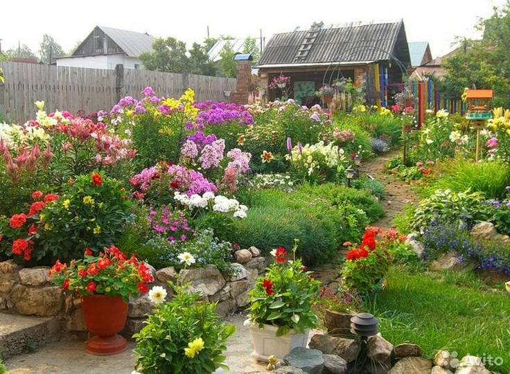 Аммиачная селитра для цветов: какой эффект?